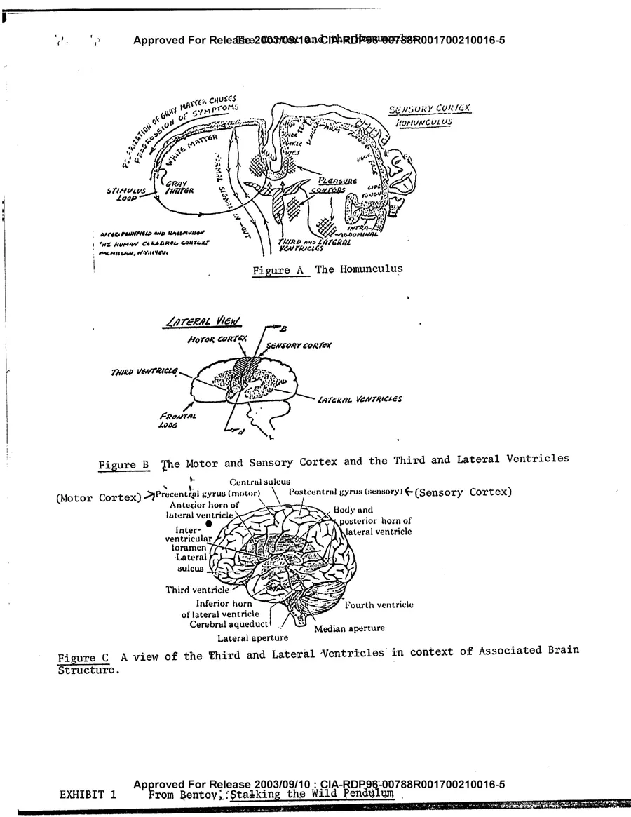 Analysis and Assessment of the Gateway Process — leaf 4, facsimile of the released scan