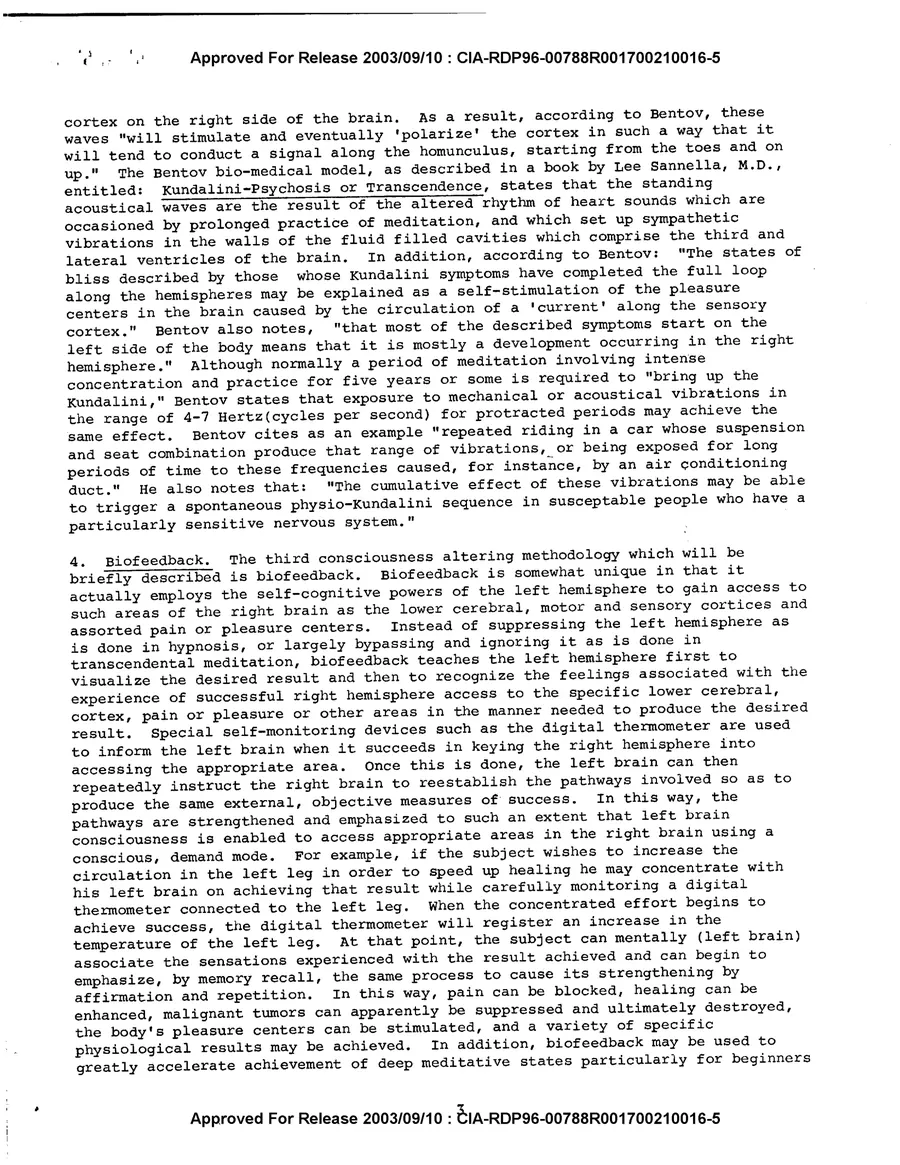 Analysis and Assessment of the Gateway Process — leaf 5, printed page 3, facsimile of the released scan