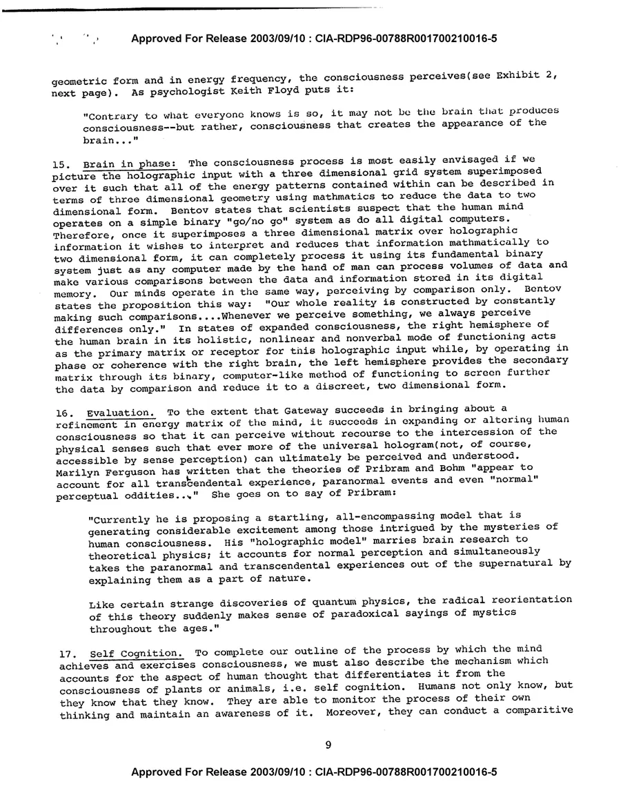 Analysis and Assessment of the Gateway Process — leaf 11, printed page 9, facsimile of the released scan